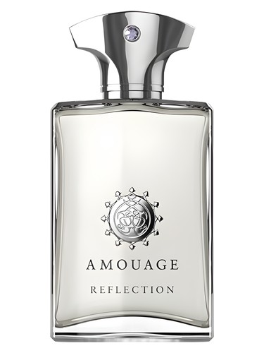 Perfume Amouage Reflection Man 100ml
