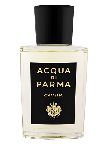 Perfume Acqua di Parma Camelia 100ml