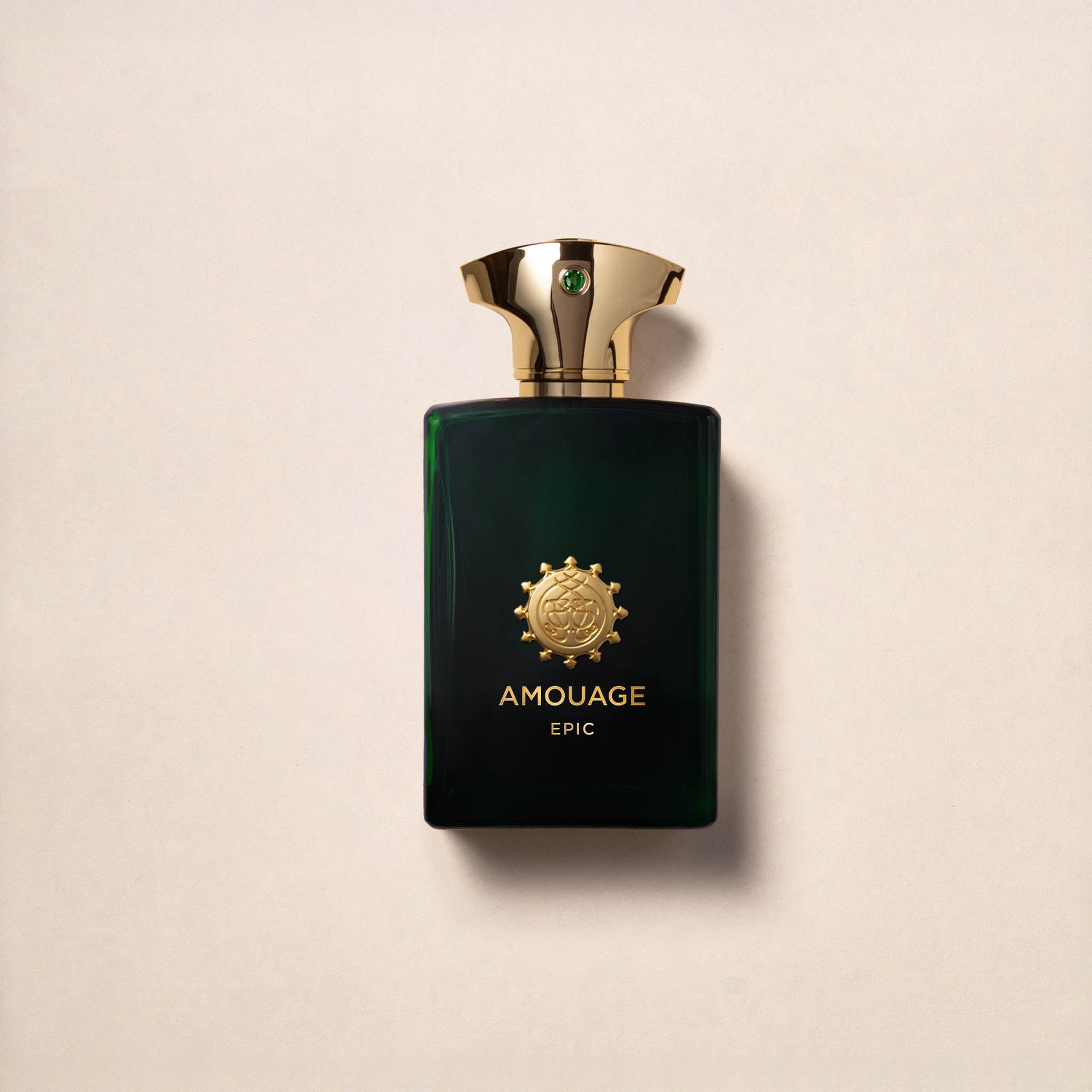 Perfume Amouage Epic Man Eau de Parfum 100ml